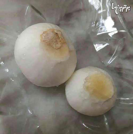 طرز تهیه چلوکباب خانگی طرز تهیه چلوکباب خانگی