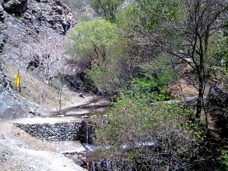 گلابدره یکی از ییلاقهای خوش آب و هوای تهران