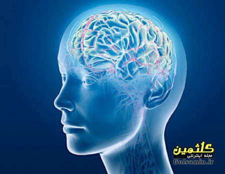 ۱۰ عامل که باعث نابودی مغز می شوند