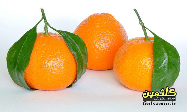 خواص نارنگی, Tangerine properties