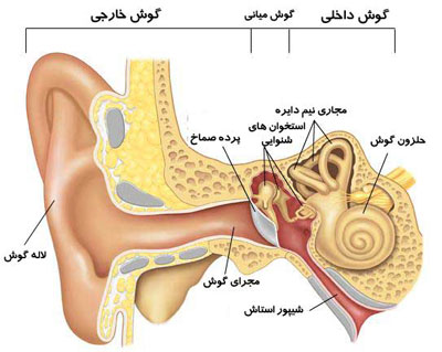 رفتارهای خطرناک برای قوه‌ شنوایی, شنوایی