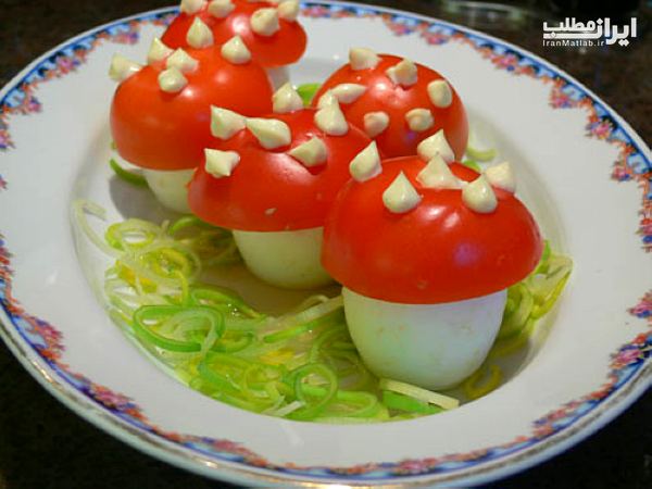 انواع تزیین غذا عکس تزیین غذا سفره ایرانی مدل تزیین غذا انواع تزیین غذا عکس تزیین غذا سفره ایرانی مدل تزیین غذا