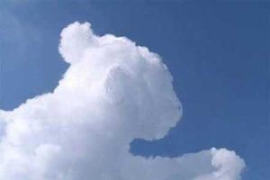 ابرهای جالب در آسمان به شکل حیوانات, عجیب