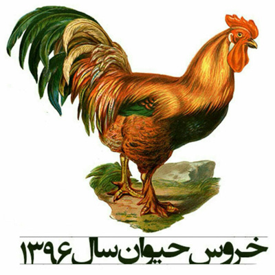 خصوصیات سال خروس، سال خروس چه سالی است ویژگیهای سال خروس, فال سال خروس