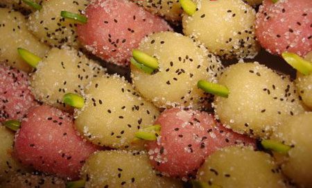 طرز تهیه شیرینی توت