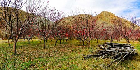 مکانهای تفریحی تهران روستای هرانده