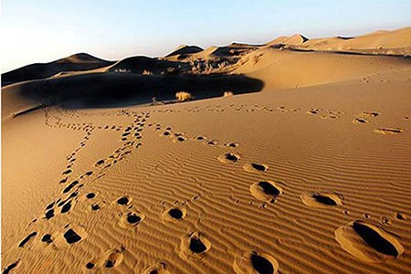 کویر ورزنه سفرهای خاطره انگیز در پاییز,جاهای دیدنی در پاییز,کویر ورزنه