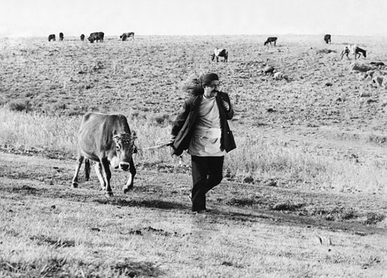 ۱۵ فیلم برتر تاریخ سینمای ایران ۱۵ فیلم برتر تاریخ سینمای ایران